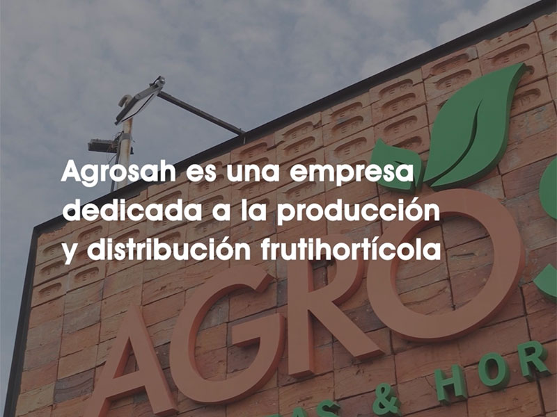 Agrosah, una empresa dedicada a la produccion de frutihorticola